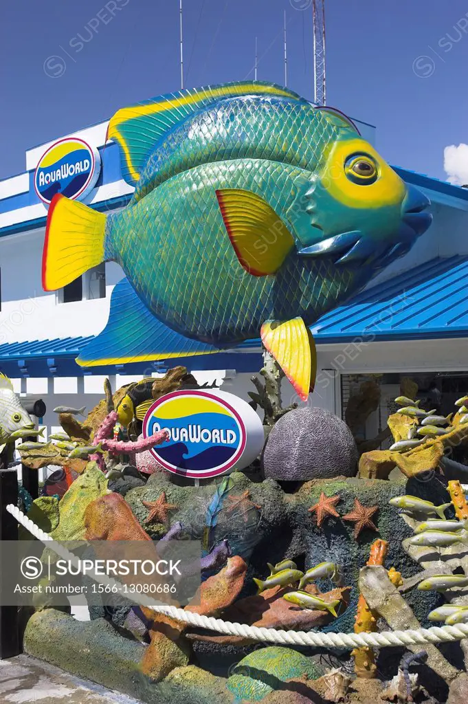Colourful fish sculpture outside marine shop Cancun Quintana Roo Mexico.
