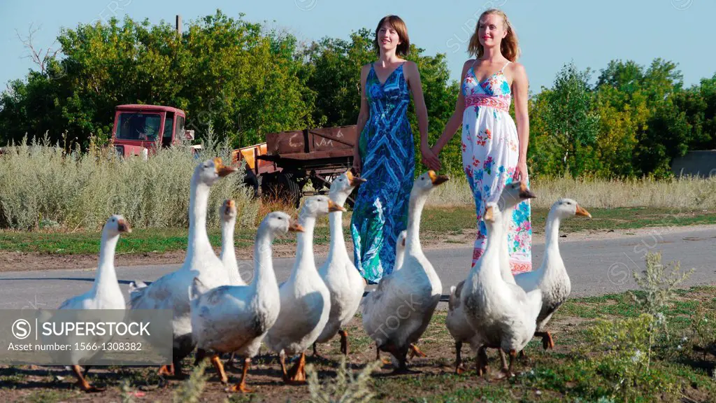 Women walking and domestic goose on the street of Musorka village, Russia