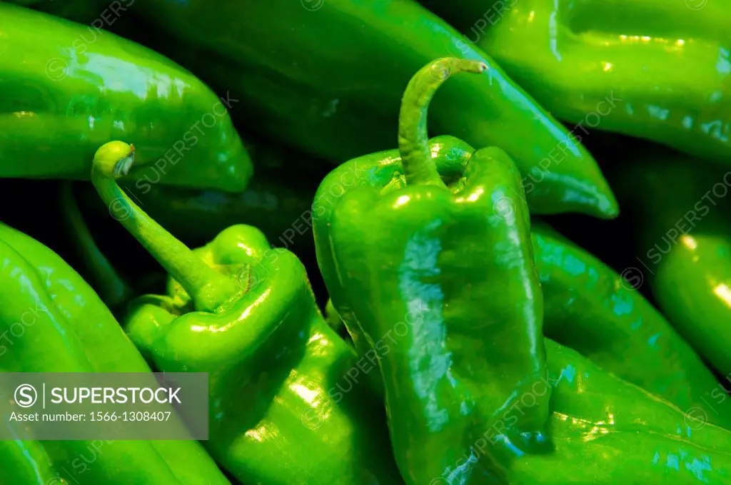 Green peppers. Close view.