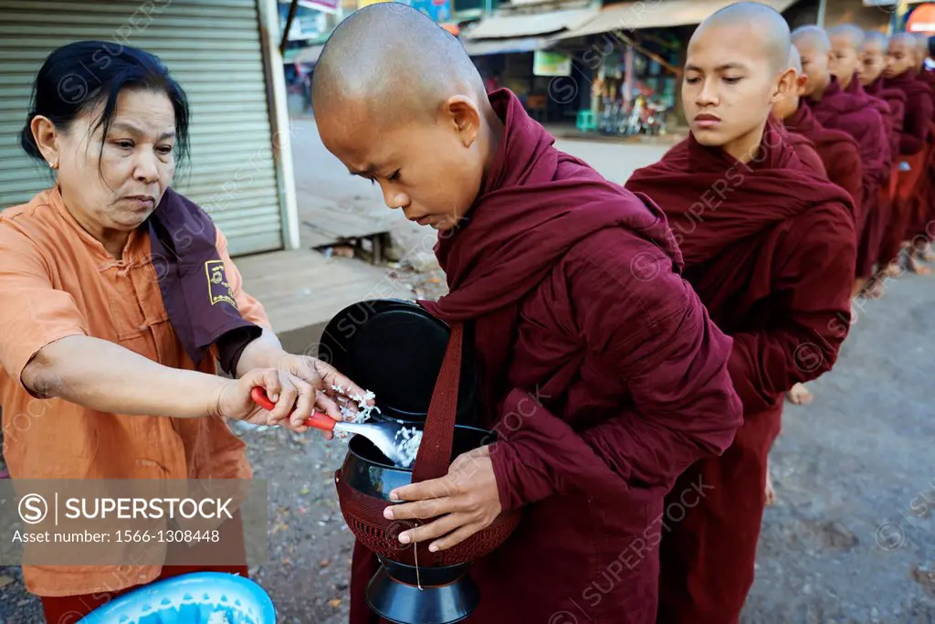 Myanmar (Burma), Mon state, Mawlamyine (Moulmein), Buddhist monks procession receive offerings.