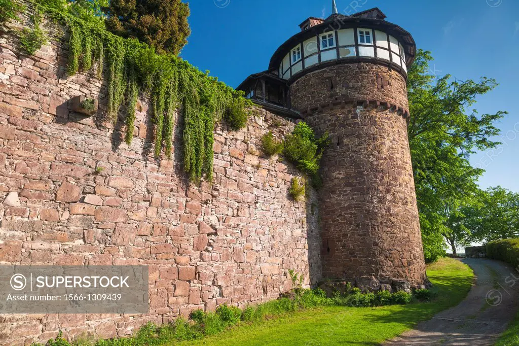 The picturesque Trendelburg (Rapunzel´s castle) on the German Fairy Tale Route, Trendelburg, Hesse, Germany, Europe
