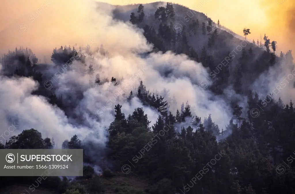 Fire in Arriondas. Asturias. Spain