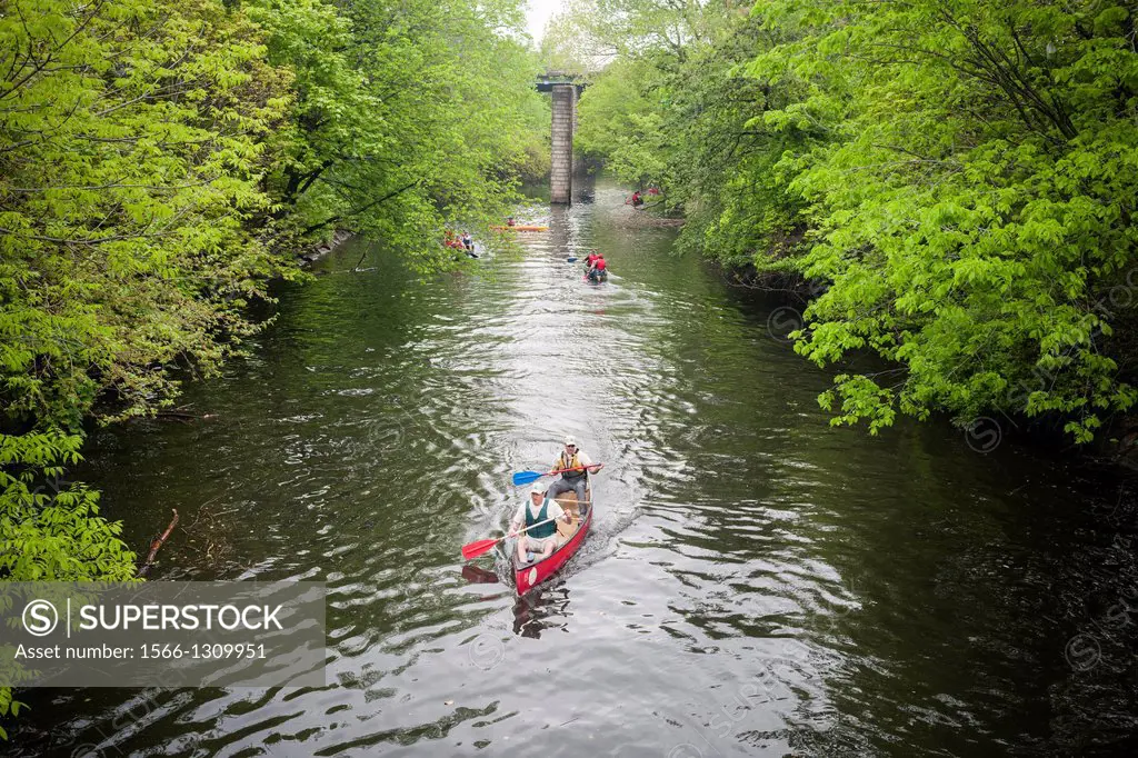 Members of the Bronx River Alliance and supporters participate in canoe races in the Bronx River in the New York borough of The Bronx during the 14th ...