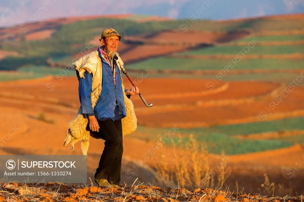 China, Yunnan Province , Kunming Municipality , Dongchuan District , Red lands , Guoditang village , man smoking , peasant , shepherd.