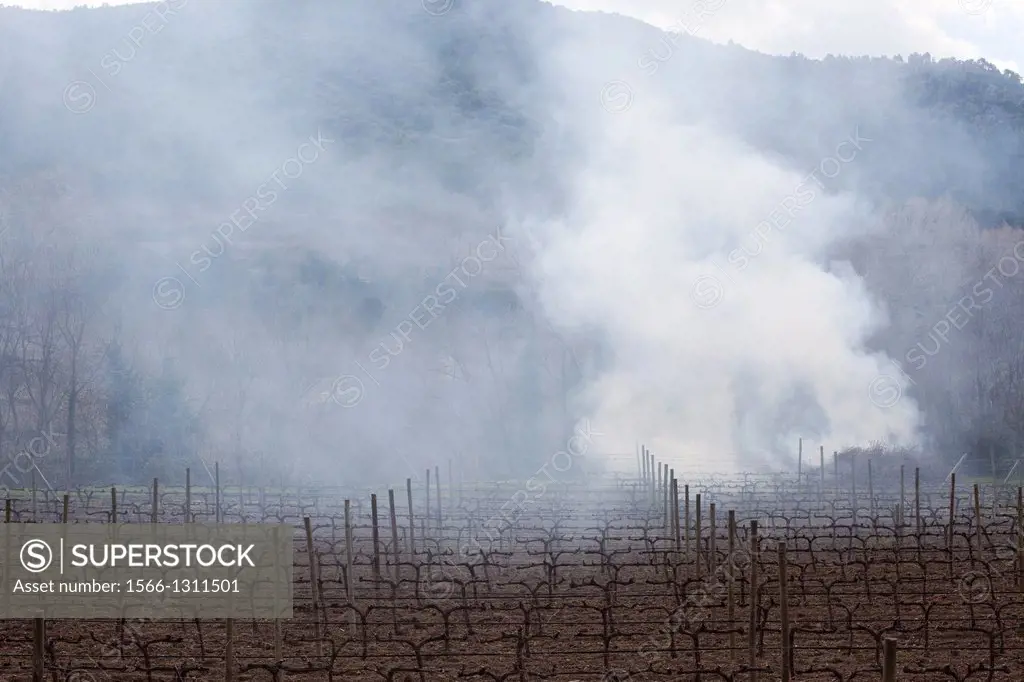 Smoke in a vineyard, Priorato, Tarragona, Spain