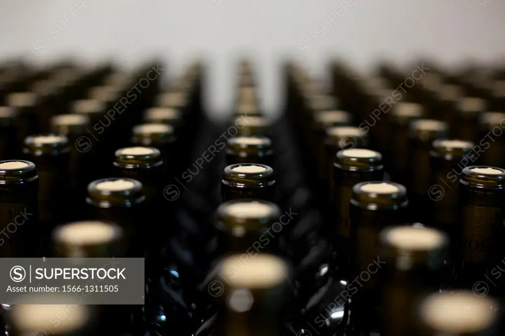 Bottles of wine stocked in a cellar.