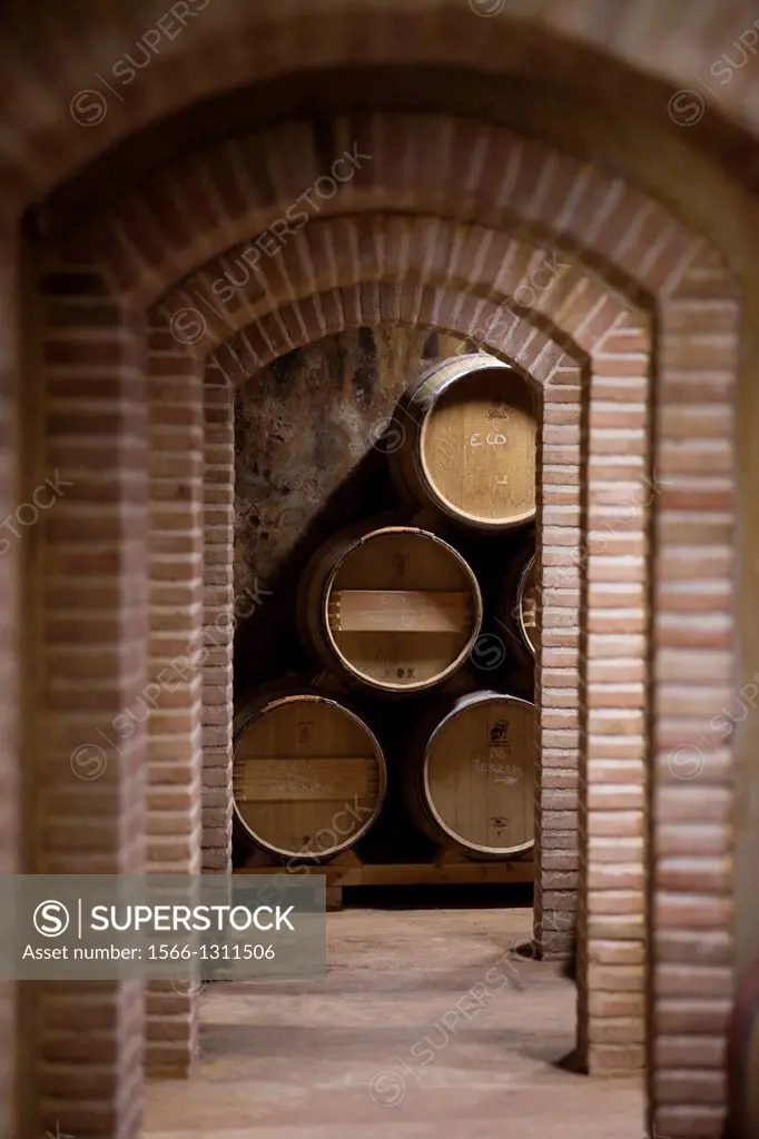 Barrels in a wine cellar.