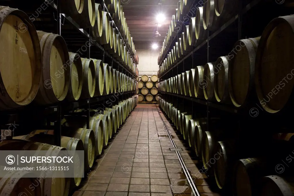 Wine cellar in the Priorato.
