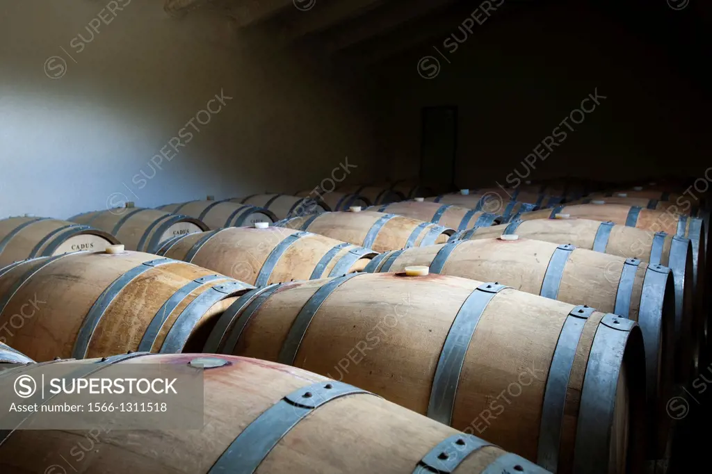 Wine cellar in the Priorato.