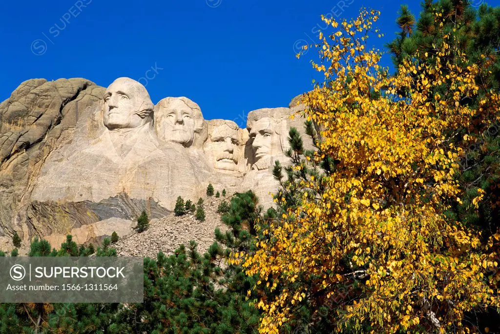 Fall color under Mount Rushmore, Mount Rushmore National Memorial, South Dakota USA.