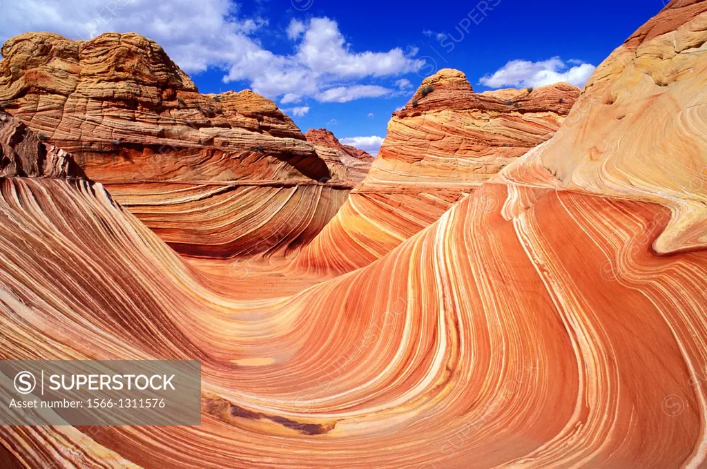 Swirling sandstone formation known as The Wave, Coyote Buttes, Paria Canyon-Vermilion Cliffs Wilderness, Arizona USA.