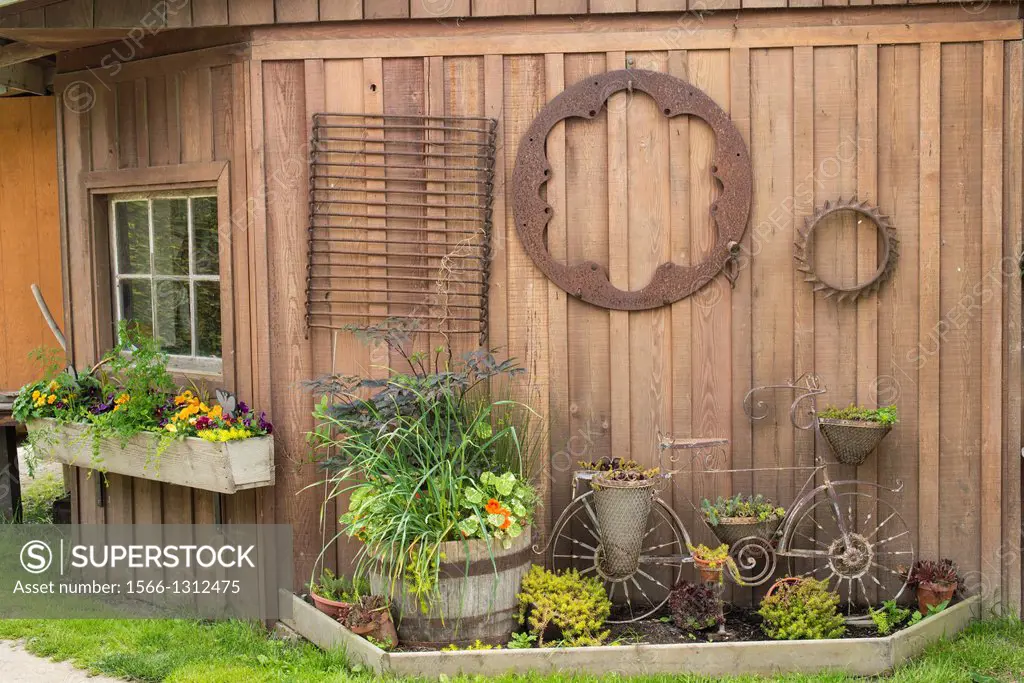 Tools on a garden shed wall on a farm in Ladner, BC, Canada.