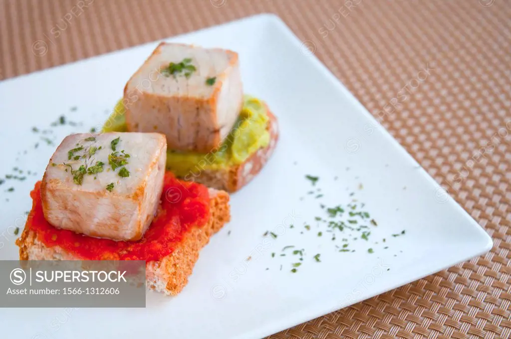 Spanish tapa: Pieces of tuna on tomato and guacamole sauces. Close view.
