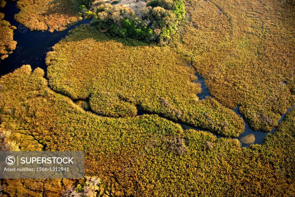 Aerial View of the Okavango Delta, Botswana.