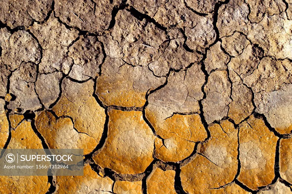 Mud cracketated, Hyden, West Australia, Australia.