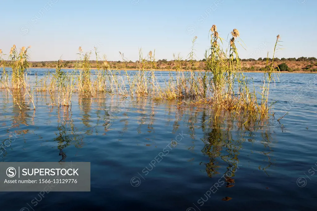 Chobe River, Chobe National Park, Botswana.