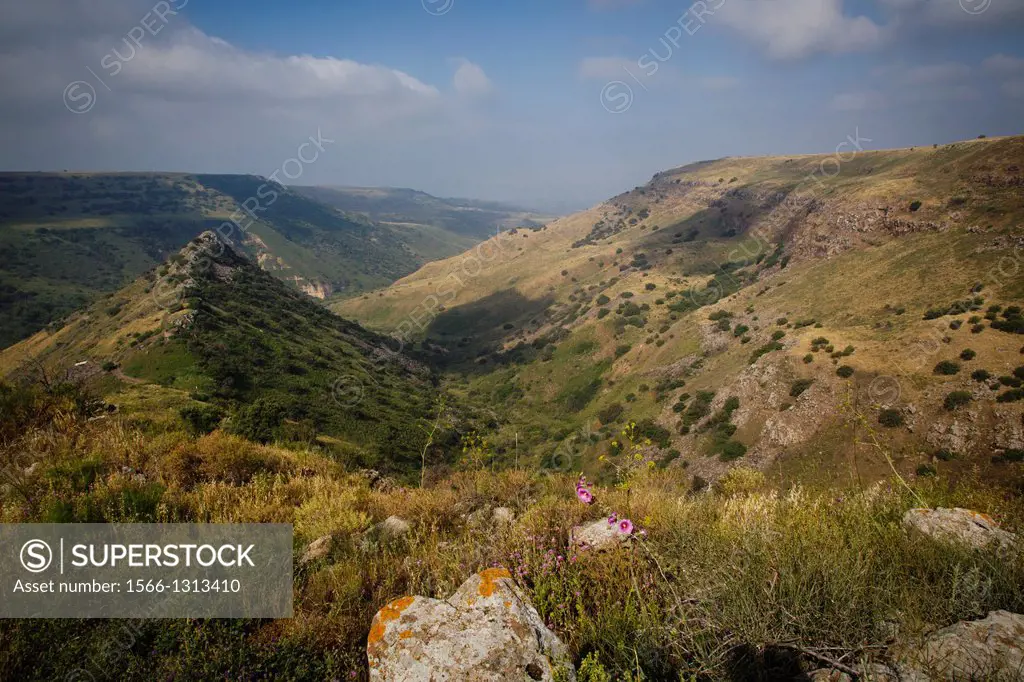 Gamla Nature reserve, Golan Heights, Israel.