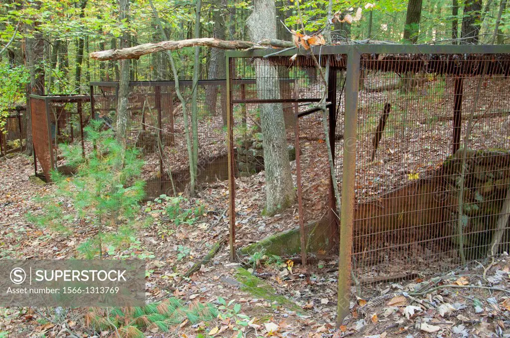 Historic zoo cage, Shade Swamp Sanctuary, Connecticut.