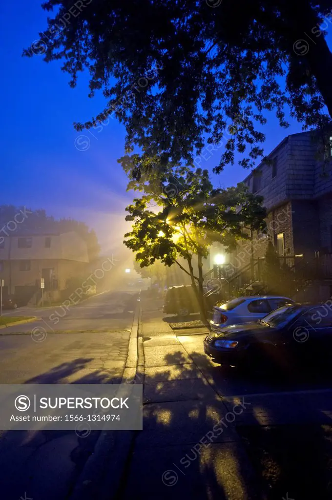 Driveway of row townhouses lit at night in the fog.