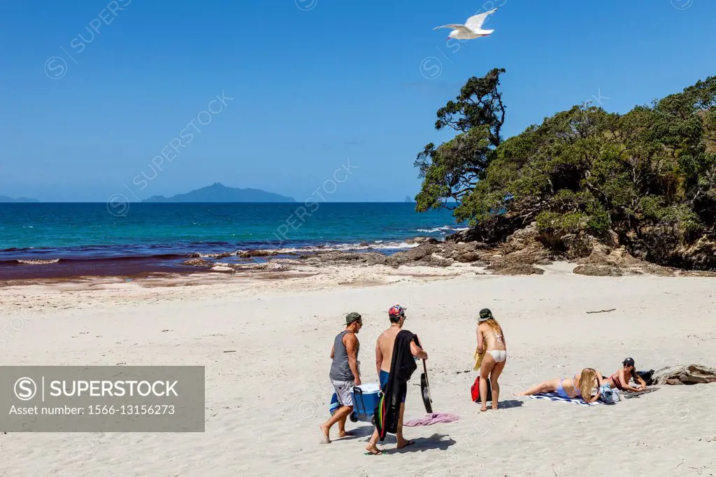 Young People On The Beach At Waipu Cove, Waipu, New Zealand