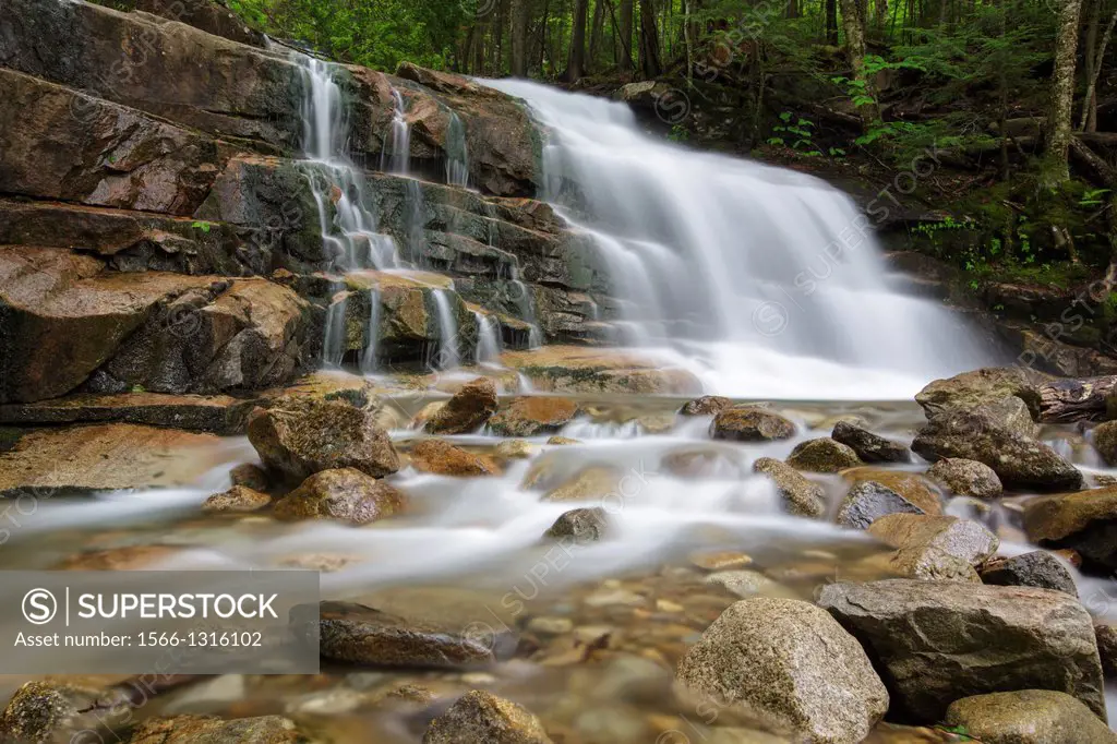 Franconia Notch State Park - Stairs Falls during the spring months. This waterfall is located on Dry Brook in Lincoln, New Hampshire USA The Falling W...