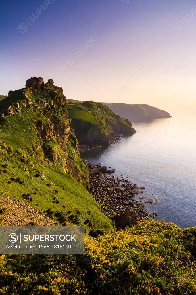 Valley of the Rocks and Wringcliff Bay at sunset in Exmoor National Park near Lynton, Devon, England.