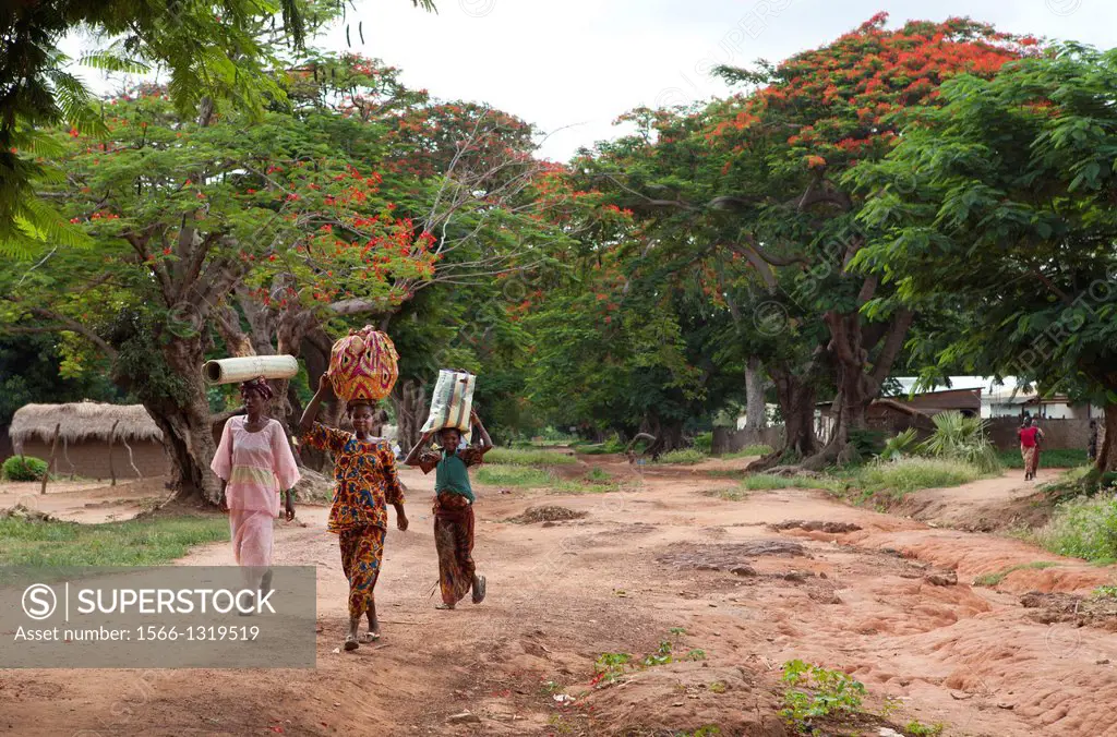 women walking to the market in central african republic.