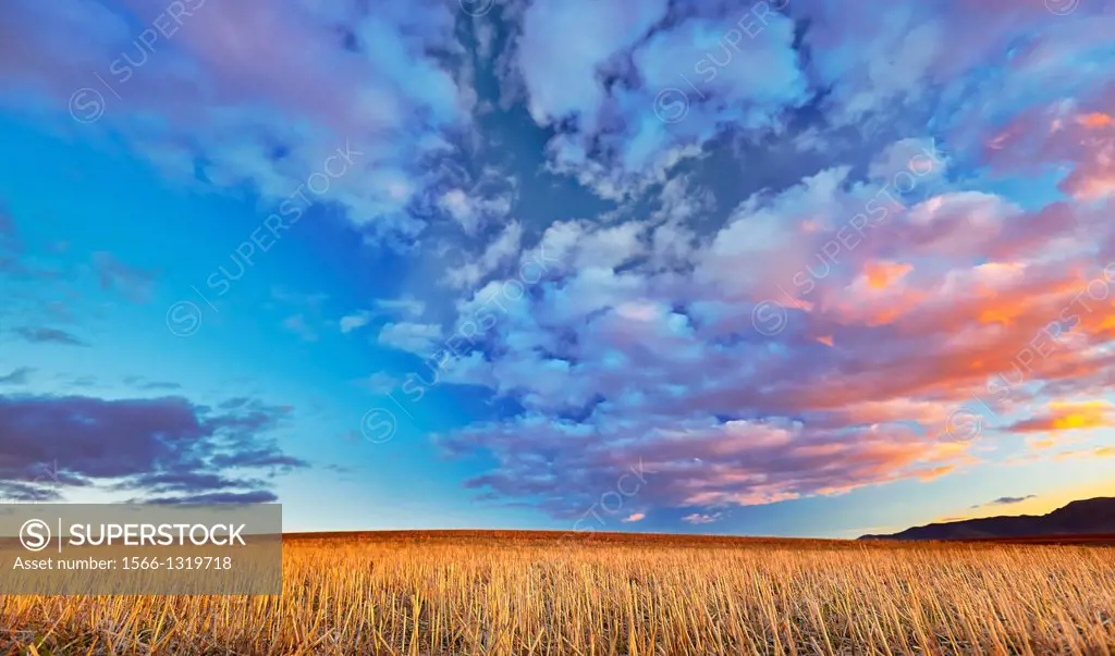 Ploughed field landscape. Northwest of Guadalajara province. Castille La Mancha. Spain.