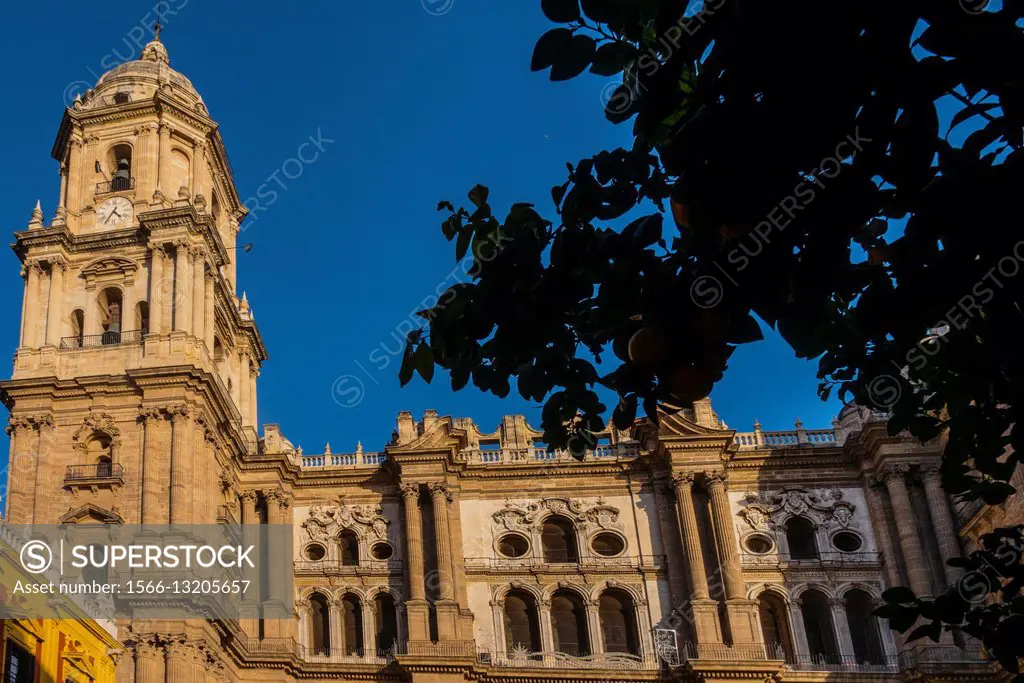 Bell tower of cathedral, Malaga, Andalusia, Spain