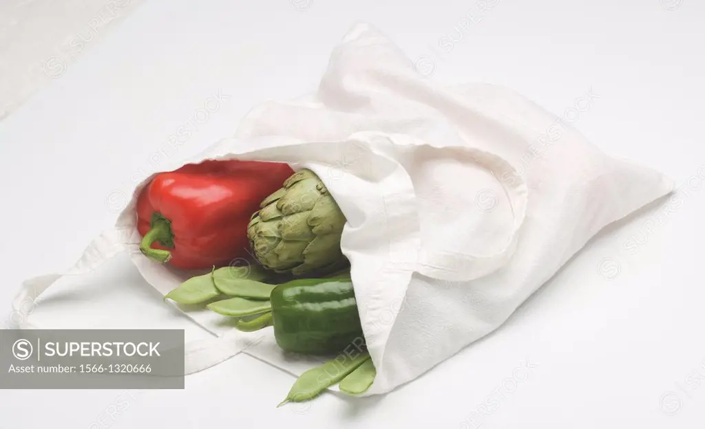 ecological fabric bag with fresh vegetables on white background