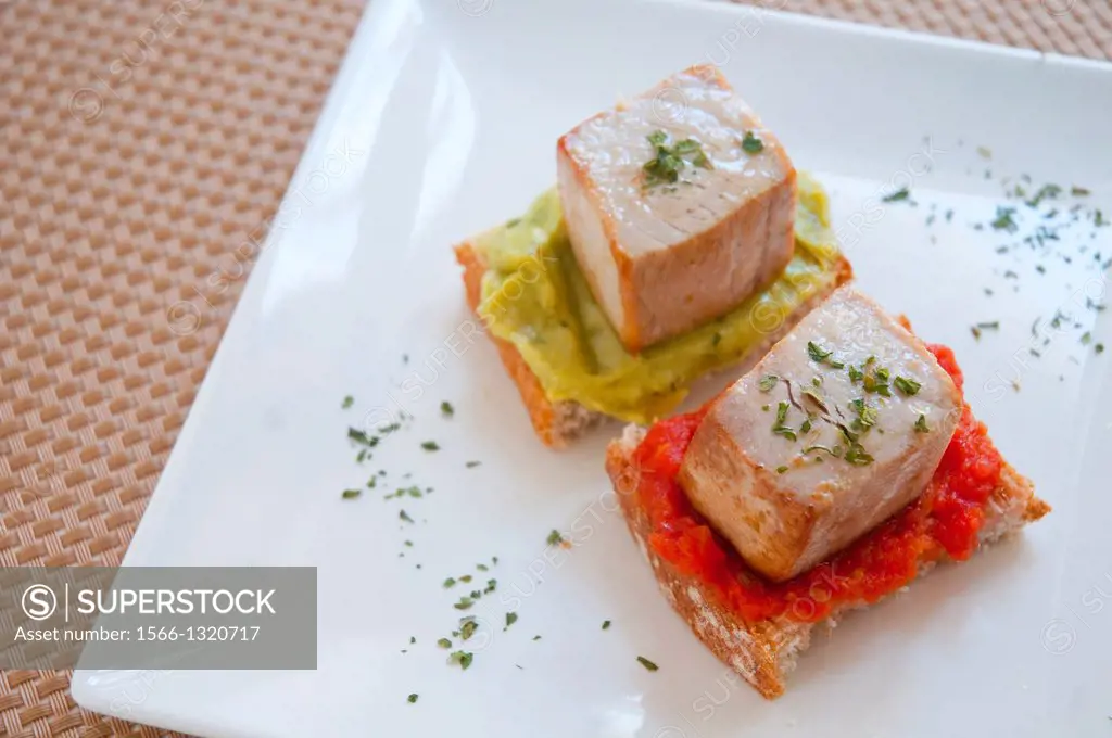 Spanish tapa: Pieces of tuna on tomato and guacamole sauces. Close view.