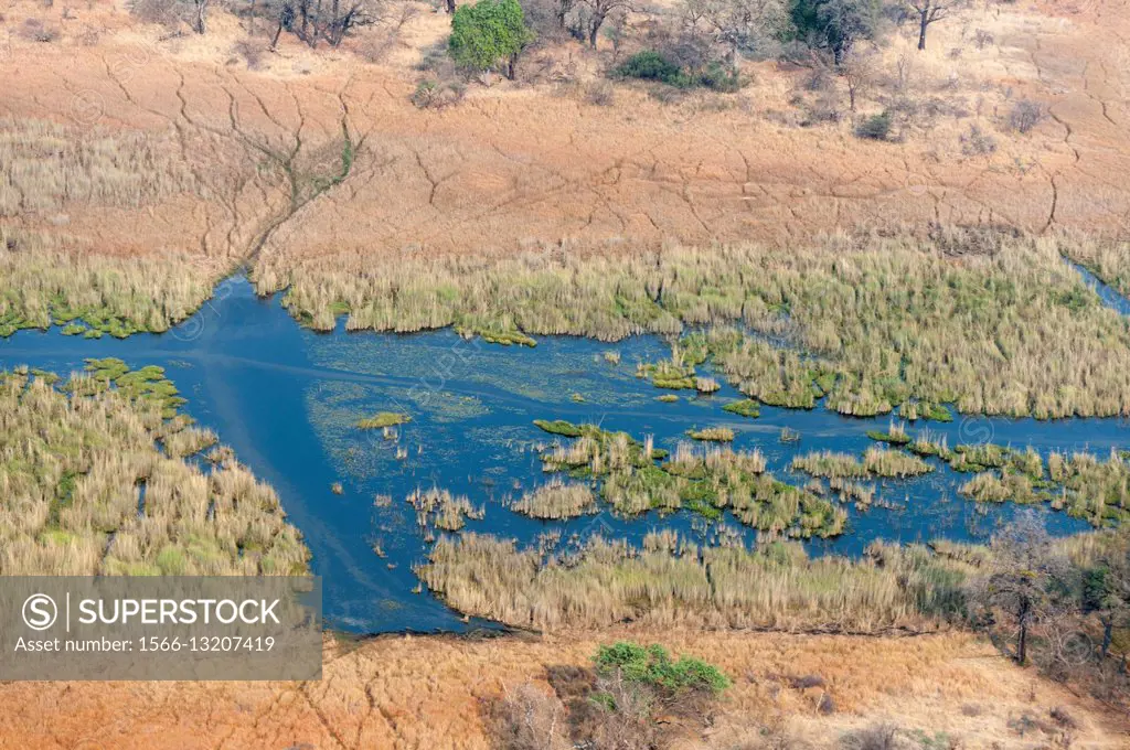Aerial view of Okavango delta, Botswana.