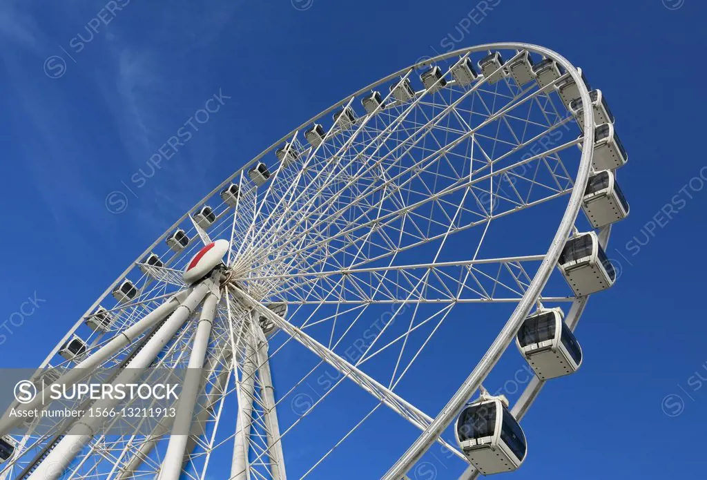Big wheel, Brisbane waterfront.