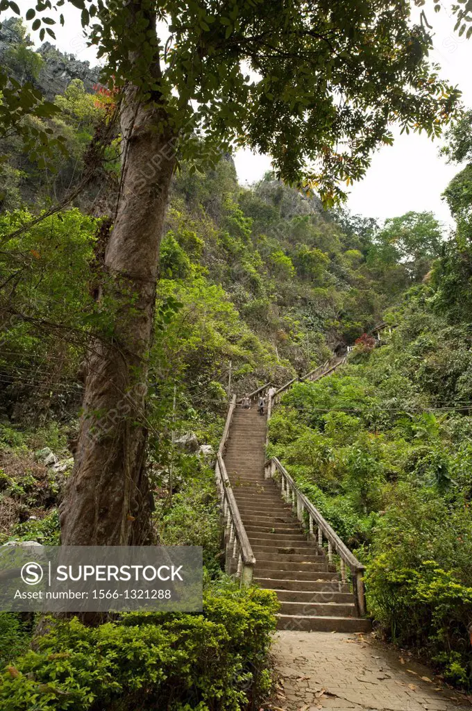 Climbing stairs to the cave, Vang Vieng, Laos.