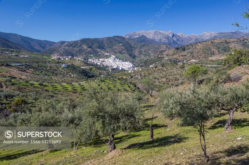 Tolox, Malaga Province, Andalusia, southern Spain. Typical white-washed mountain town. Tolox is famed as a spa town.