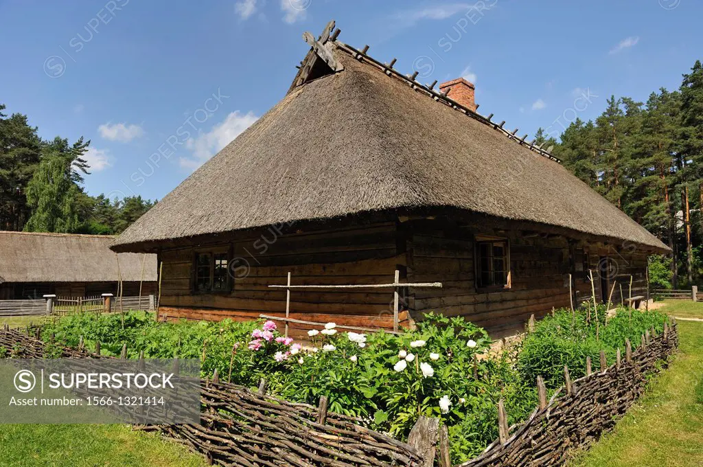 thatched house in the village of Kurzeme, Ethnographic Open-Air Museum around Riga, Latvia, Baltic region, Northern Europe.