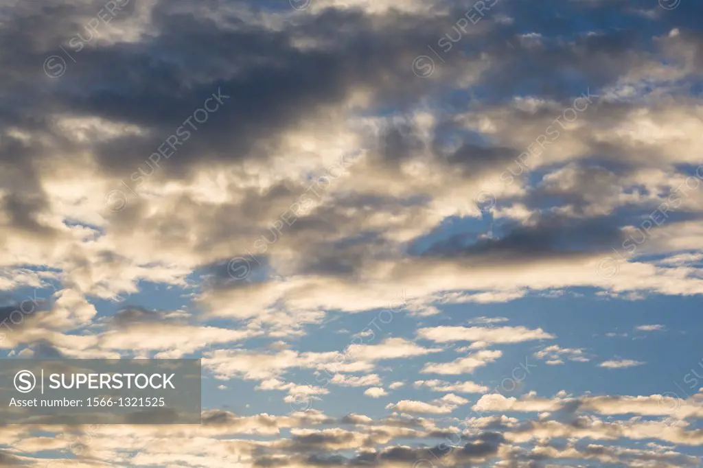 Sky and clouds in early morning.
