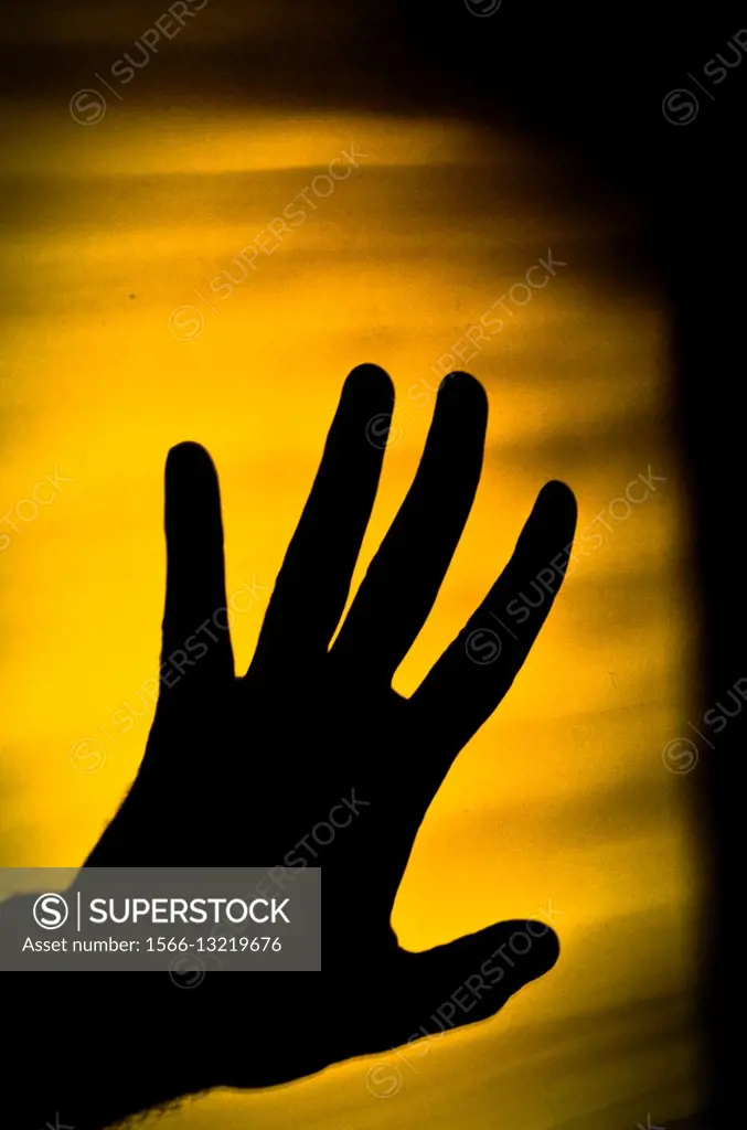 Silhouette of a hand on a yellow wall.