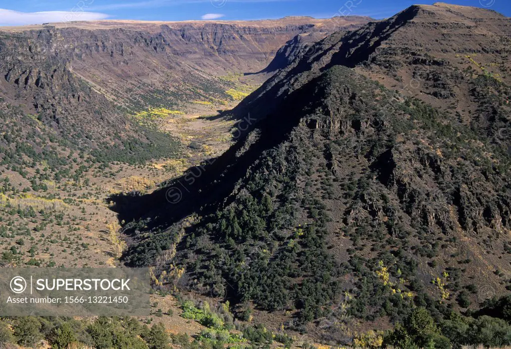 Big Indian Gorge, Steens Mountain National Back Country Byway, Steens Mountain Recreation Area, Oregon.