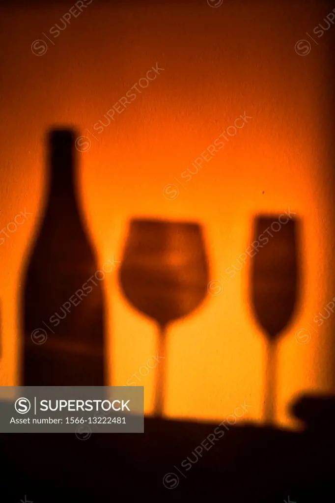 Silhouettes, wine glass, glass of champagne, bottle.