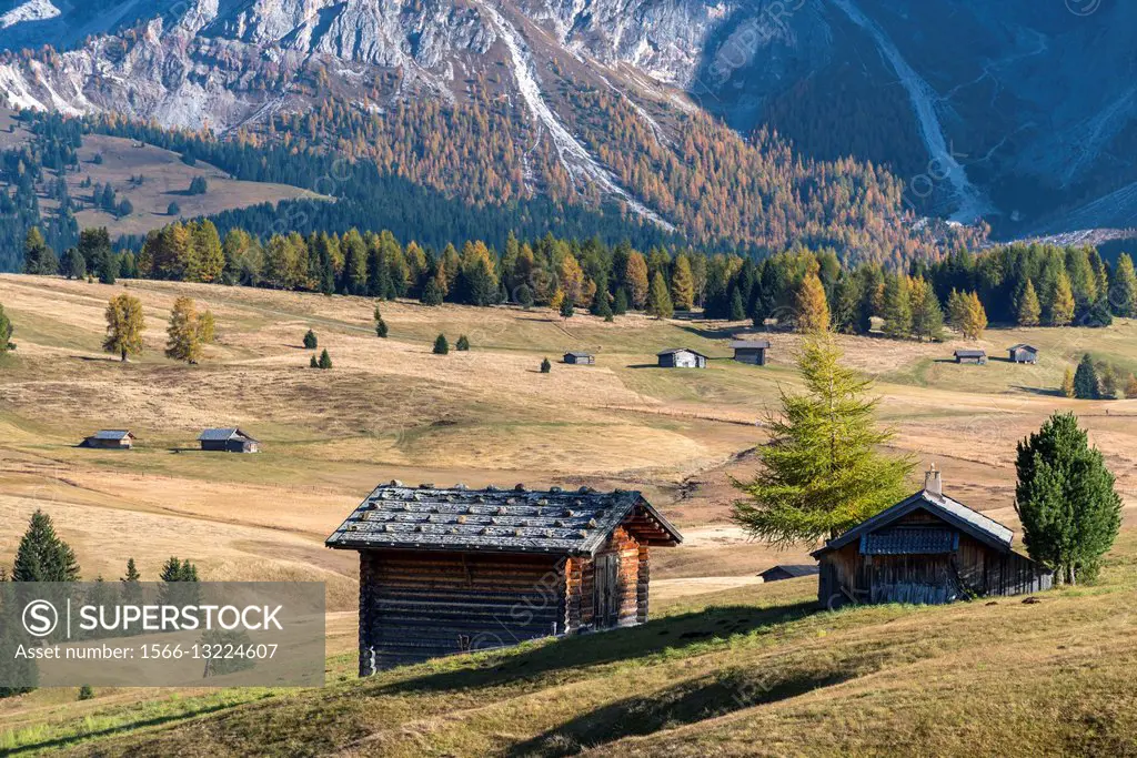 Alpe di Siusi/Seiser Alm, Dolomites, South Tyrol, Italy. Autumn colors on the Alpe di Siusi/Seiser Alm.