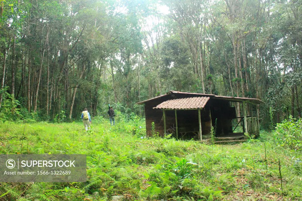 Cabin in the woods, San Eusebio Cloud Forest Merida Venezuela.