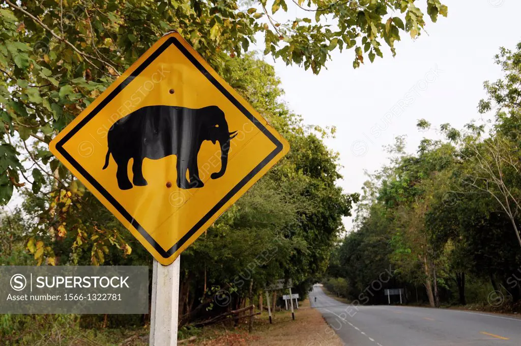 Caution Elephant