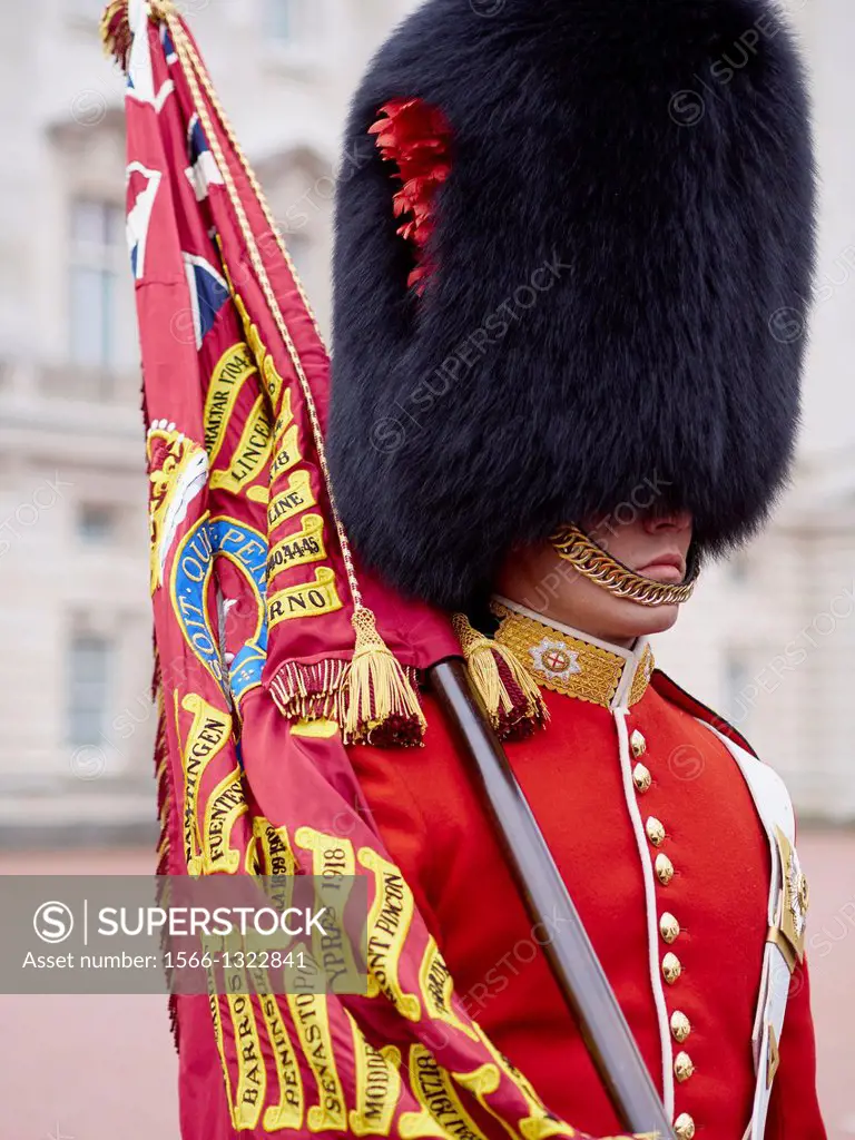 Guard at Trooping the Colour ceremony in LOndon