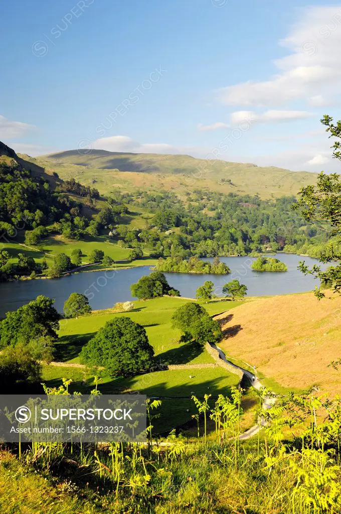 Lake District National Park, Ambleside, Cumbria, England. East over Rydal Water from Loughrigg Terrace. Summer.
