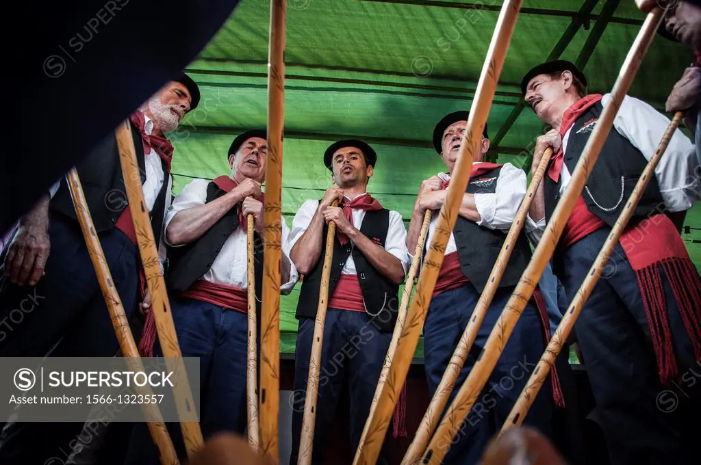 A group of cantabrian herdsmen, make a circle and join in the center rods, to sing traditional songs, Cantabria, Spain.