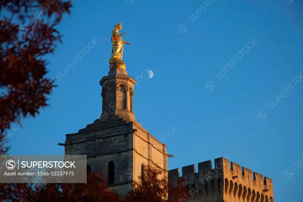 Cathedral, Avignon, Vaucluse, Provence-Alpes-Côte d´Azur, France