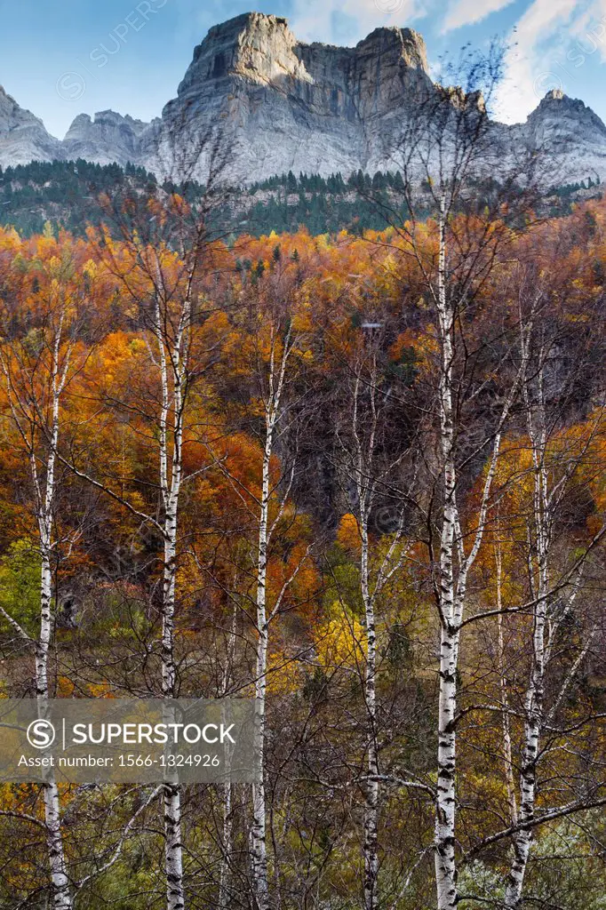 Mountains view and deciduous forest in autumn.