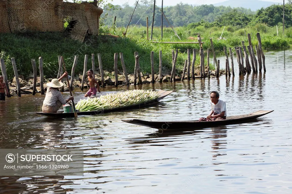 WOODEN BOATS are the main form of transportation on INLE LAKE, Burma