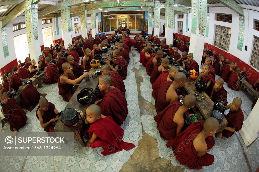 Monks having lunch in their monastery, burman novice, Myanmar, Burma, Asia